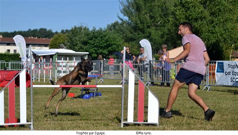 Agility – Commission Nationale Éducation et Activités Cynophiles.